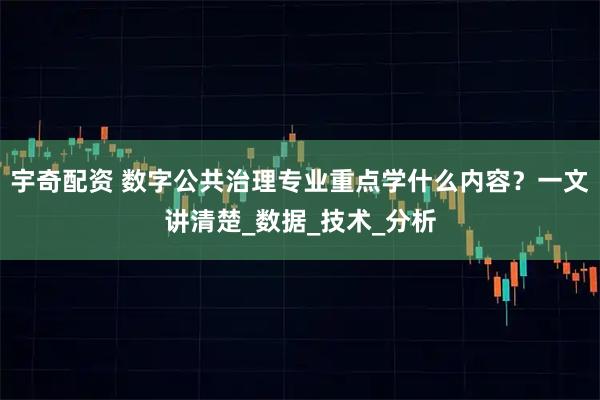 宇奇配资 数字公共治理专业重点学什么内容？一文讲清楚_数据_技术_分析